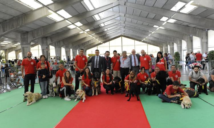 Michele Pandolfi e il golden retriever Roy premiati all'esposizione canina di Villa Potenza (FOTO)