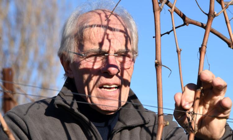 Overtime Wine Festival 2019, grande attesa per Nevio Scala Overtime Wine Festival 2019, grande attesa per Nevio Scala