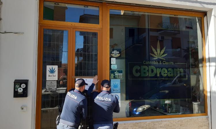 Chiusi quattro negozi di cannabis light nel maceratese (FOTO) Chiusi quattro negozi di cannabis light nel maceratese (FOTO)