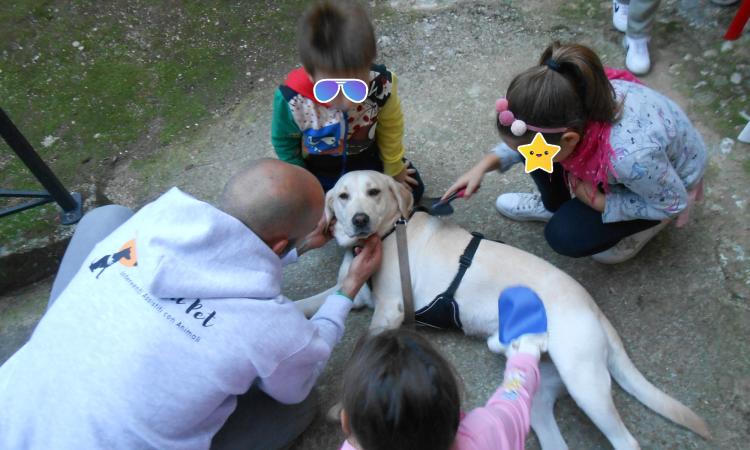 Civitanova, ripartono le attività del centro per la famiglia: grande novità la Pet Therapy