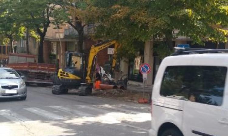 Macerata, abbattimento dei pini in viale Martiri della Libertà: i residenti non ci stanno Macerata, abbattimento dei pini in viale Martiri della Libertà: i residenti non ci stanno