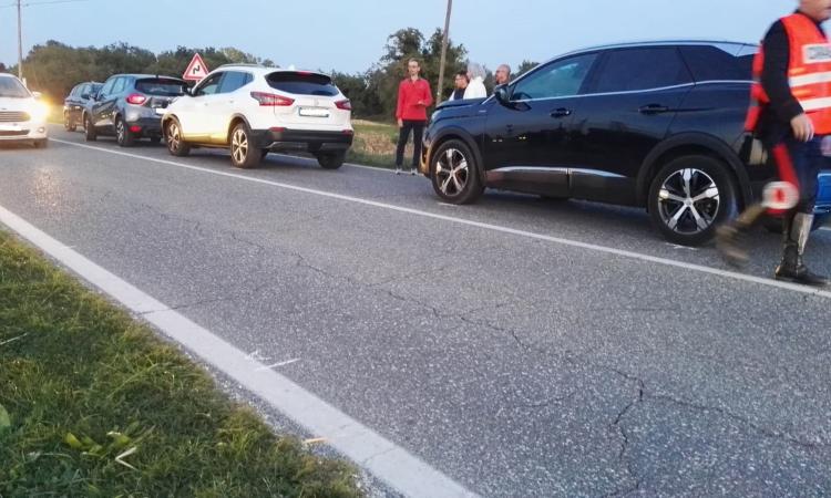 Urbisaglia, scontro tra quattro auto lungo la Statale: cinque feriti all'ospedale (FOTO) Urbisaglia, scontro tra quattro auto lungo la Statale: cinque feriti all'ospedale (FOTO)