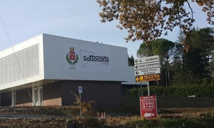 Camerino, tre anni dal sisma: inaugurazione della scultura l'Albero della speranza Camerino, tre anni dal sisma: inaugurazione della scultura l'Albero della speranza