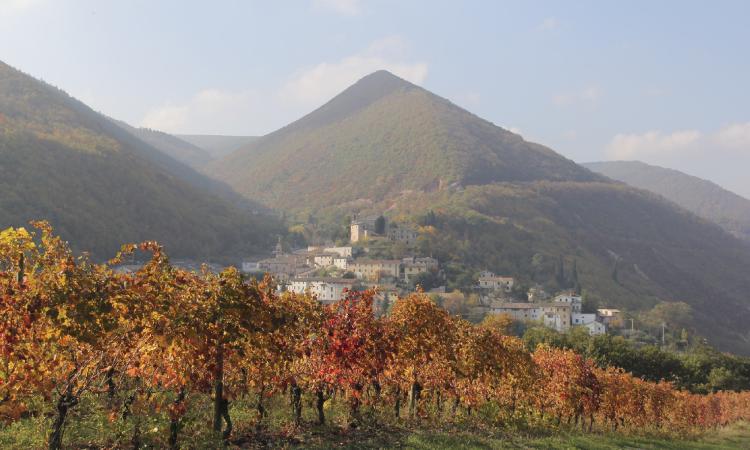 Serrapetrona, Appassimenti aperti: un'ottima vendemmia dà il benvenuto alla tredicesima edizione (FOTO)