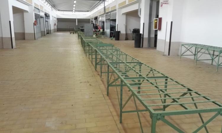 Macerata, il Mercato delle Erbe spostato nei locali dell'ex Mattatoio: ecco gli orari Macerata, il Mercato delle Erbe spostato nei locali dell'ex Mattatoio: ecco gli orari