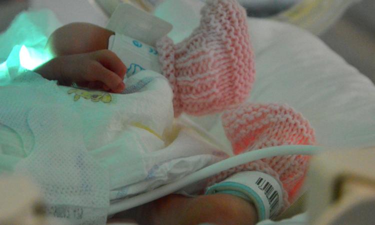 Lo Sferisterio si illumina di viola per la Giornata Mondiale della Prematurità