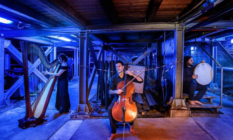 Civitanova, mercoledì di jazz al Cecchetti con Spring Trio Civitanova, mercoledì di jazz al Cecchetti con Spring Trio