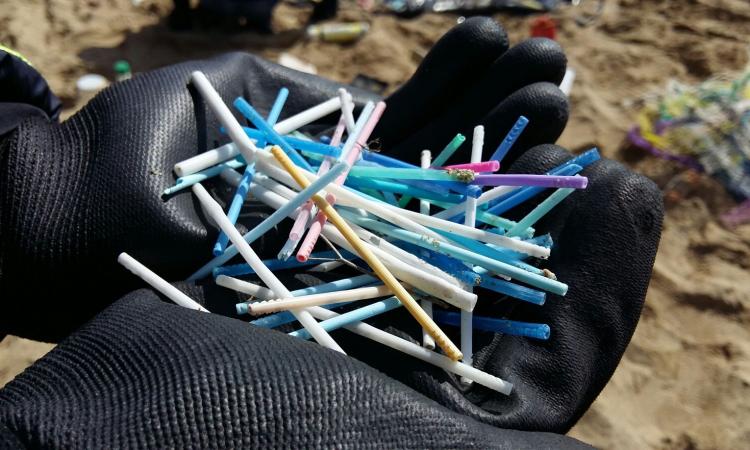 Oltre 11mila rifiuti trovati sulle spiagge marchigiane: i dati dell'indagine Beach Litter di Legambiente Oltre 11mila rifiuti trovati sulle spiagge marchigiane: i dati dell'indagine Beach Litter di Legambiente