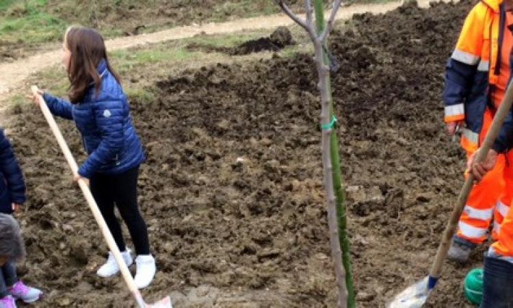 Tolentino, si rinnova l'appuntamento con "La Festa dell'albero" di Legambiente