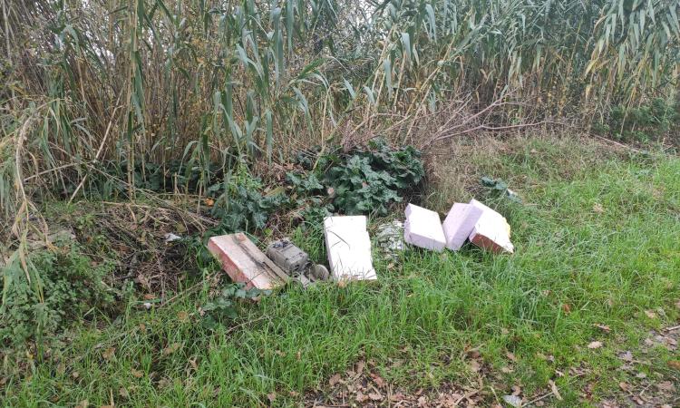 Scarico illecito di rifiuti a Pollenza: la segnalazione di un cittadino (FOTO) Scarico illecito di rifiuti a Pollenza: la segnalazione di un cittadino (FOTO)