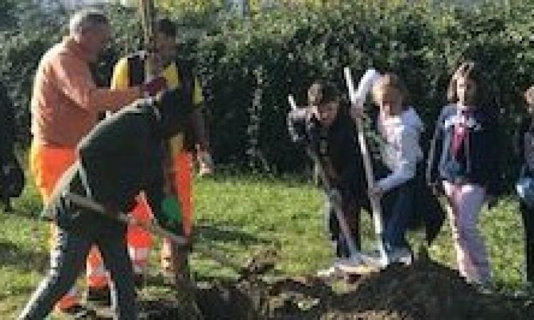 Due giornate all'insegna del verde a Porto Recanati Due giornate all'insegna del verde a Porto Recanati