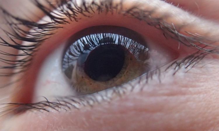 A Matelica il convegno “il Glaucoma nella Terra del Terremoto" A Matelica il convegno “il Glaucoma nella Terra del Terremoto"