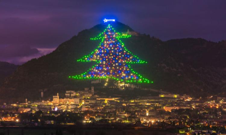 L'albero di Natale da record di Gubbio si accende grazie alla maceratese Fìdoka