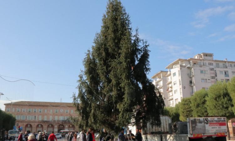 Natale a Civitanova: sabato 7 dicembre si entra nel vivo con l'accensione dell'albero e la pista di ghiaccio