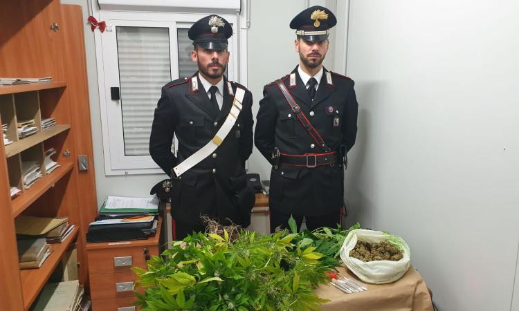 Matelica, in cantina una serra per coltivare marijuana: arrestato 39enne con 1 chilo di droga in casa