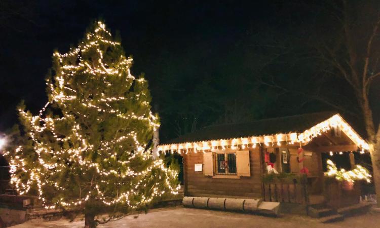 Bolognola, 4720 luci led per l'albero più in alto delle Marche: domani l'accensione Bolognola, 4720 luci led per l'albero più in alto delle Marche: domani l'accensione