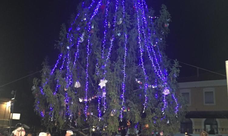 Ussita dona l'abete natalizio a Porto Potenza Picena: grande festa per l'accensione
