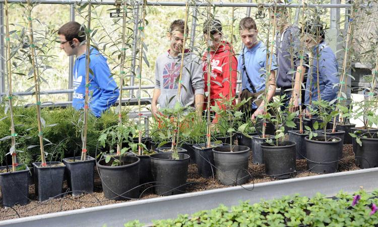 Orientamento: Scuola Aperta all’Istituto Agrario di Macerata Orientamento: Scuola Aperta all’Istituto Agrario di Macerata