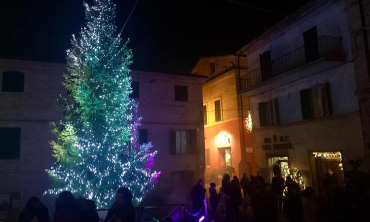 La magia del Natale ad Appignano: acceso il grande albero in piazza