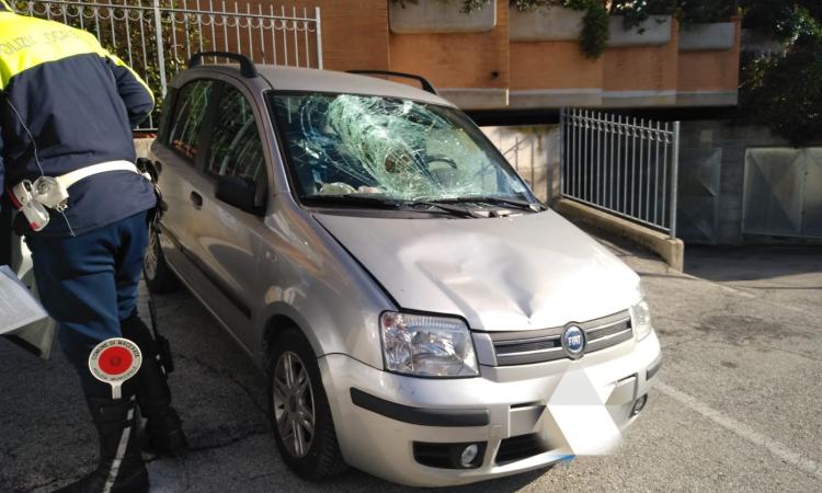Macerata, donna investita lungo le strisce in via Roma: è grave (FOTO) Macerata, donna investita lungo le strisce in via Roma: è grave (FOTO)