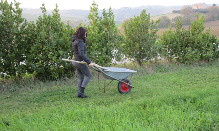 A Recanati nasce A.R.I.A., un'associazione per l'impegno ambientale