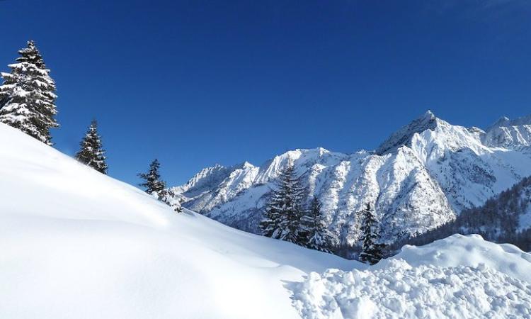 Settimana bianca in famiglia in Val di Sole: dove, come e perché