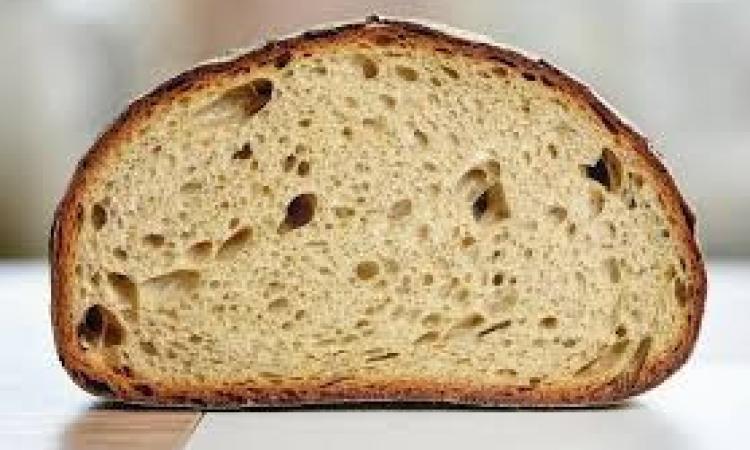 Macerata, panifici: prorogati i termini per il nominativo del responsabile dell'attività produttiva Macerata, panifici: prorogati i termini per il nominativo del responsabile dell'attività produttiva