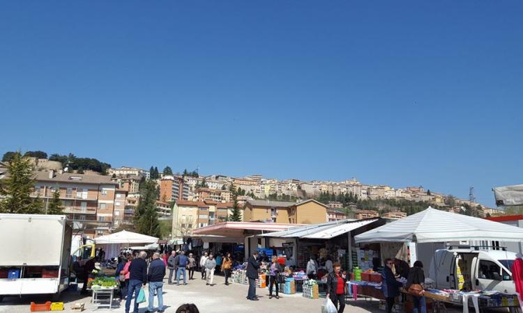 Camerino, nuovo servizio di collegamento dalle Sae al mercato Camerino, nuovo servizio di collegamento dalle Sae al mercato