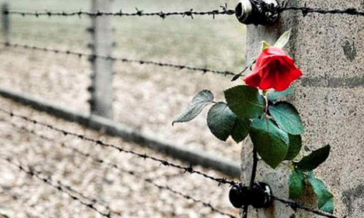 Recanati, Giorno della Memoria 2020: incontri, proiezioni cinematografiche e maratone di lettura Recanati, Giorno della Memoria 2020: incontri, proiezioni cinematografiche e maratone di lettura