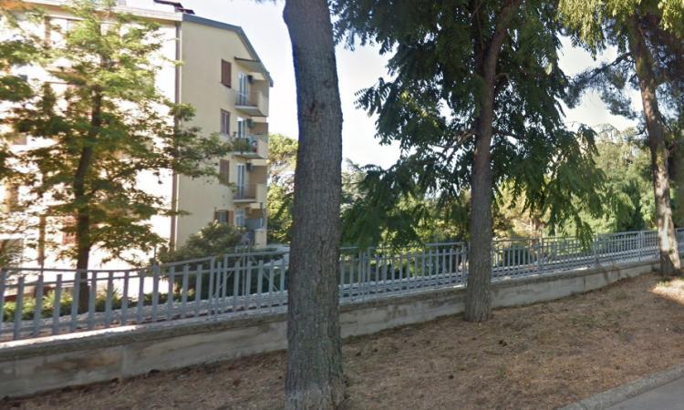 Macerata, piante abbattute in via Annibal Caro e in via Pesaro Macerata, piante abbattute in via Annibal Caro e in via Pesaro