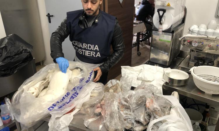 Controlli della Guardia Costiera: 17mila euro di multe e 830 chili di pescato sequestrati