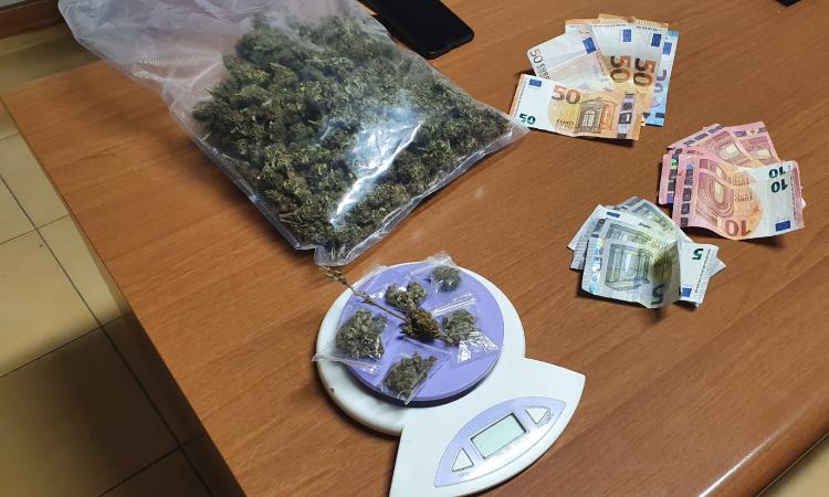 Civitanova, nasconde nel garage tre etti di marijuana: arrestato 21enne civitanovese