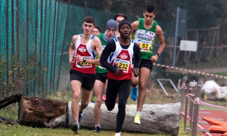 Atletica Avis Macerata, grandi risultati nella marcia e nella corsa campestre (Foto)