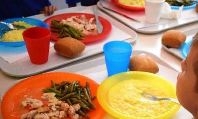 Civitanova, “Green Food Week": convocato un comitato tecnico mensa per decidere sull'adesione Civitanova, “Green Food Week": convocato un comitato tecnico mensa per decidere sull'adesione