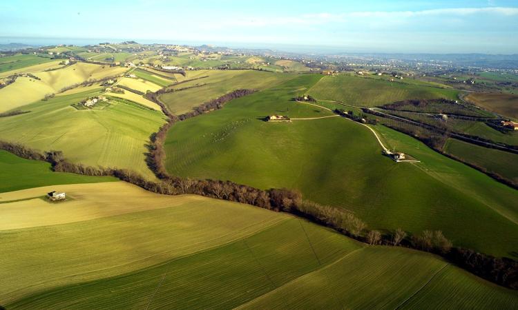 È un inverno quasi primaverile: a Macerata attesi 19 gradi nel weekend È un inverno quasi primaverile: a Macerata attesi 19 gradi nel weekend