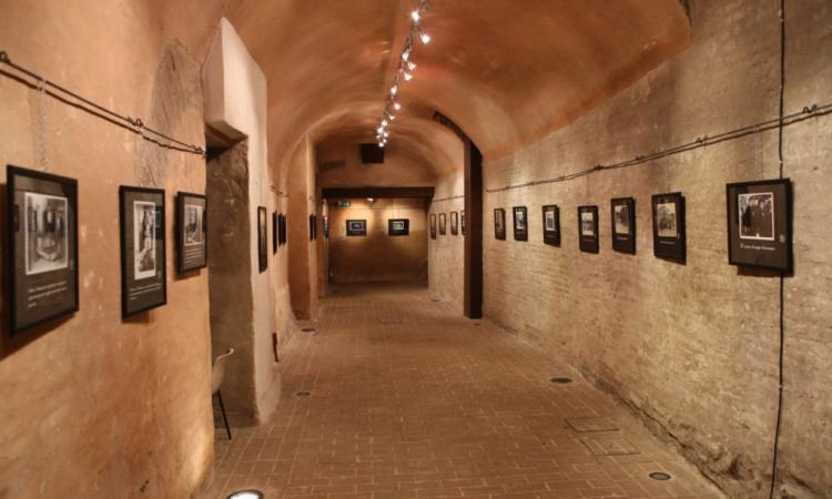 Macerata, agli Antichi Forni la mostra "Metamorfosi" Macerata, agli Antichi Forni la mostra "Metamorfosi"