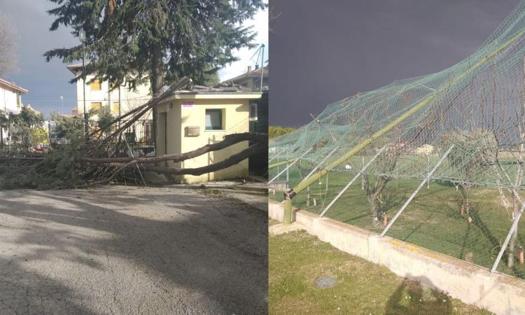 Danni allo stadio "Sandro Ultimi" di Chiesanuova: recinzione abbattuta e panchine danneggiate (FOTO)