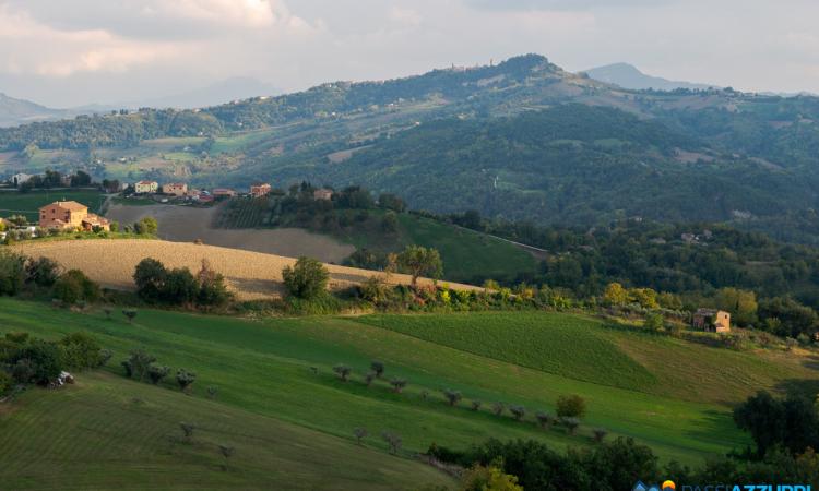 Una app sulla fruizione dei luoghi del cratere: presentata "Rinascimento Appennino" Una app sulla fruizione dei luoghi del cratere: presentata "Rinascimento Appennino"