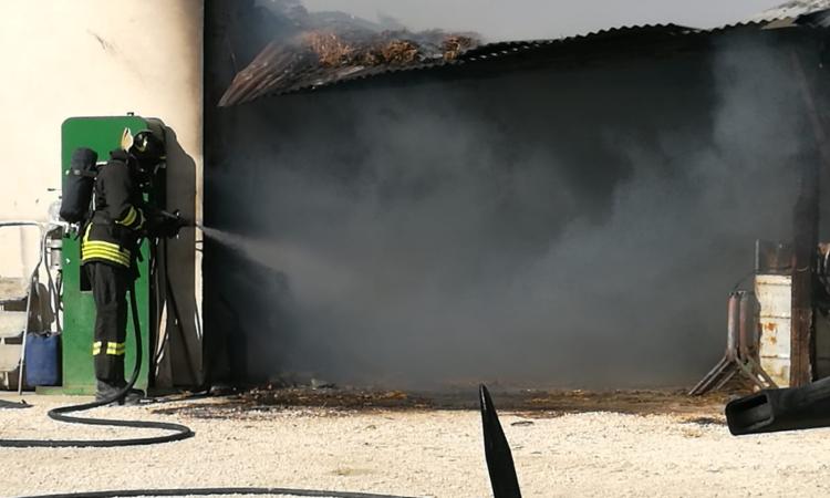 Montelupone, in fiamme un capanno agricolo (FOTO) Montelupone, in fiamme un capanno agricolo (FOTO)