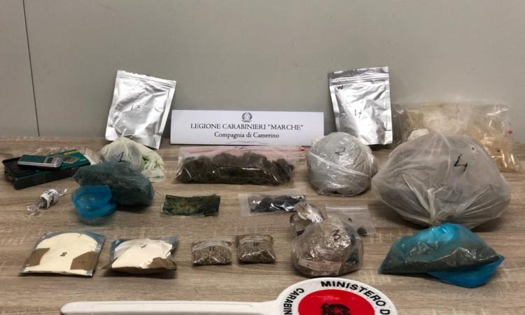 Camerino, in casa tre serre per coltivare marijuana e un machete: in manette 40enne inglese