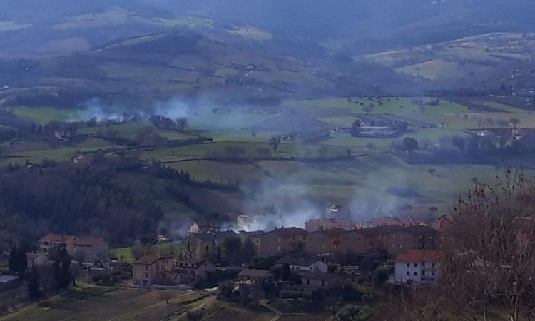 Treia, vasto incendio in contrada San Carlo: vigili del fuoco al lavoro con 5 automezzi