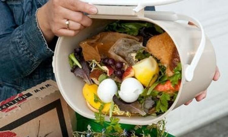 Recanati, "Fatti gli avanzi tuoi": al via il progetto contro lo spreco alimentare Recanati, "Fatti gli avanzi tuoi": al via il progetto contro lo spreco alimentare