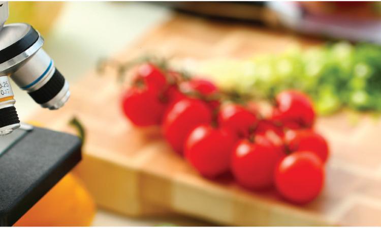 "Nutrigenomica e sviluppo sostenibile": convegno Unicam a Jesi