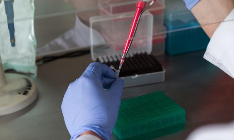 Coronavirus Marche, su 735 campioni analizzati nelle ultime 24 ore: sono 132 quelli positivi