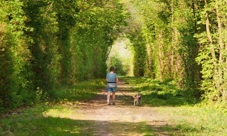 Coronavirus, quando si può uscire di casa: sì alle passeggiate da soli o col proprio cane