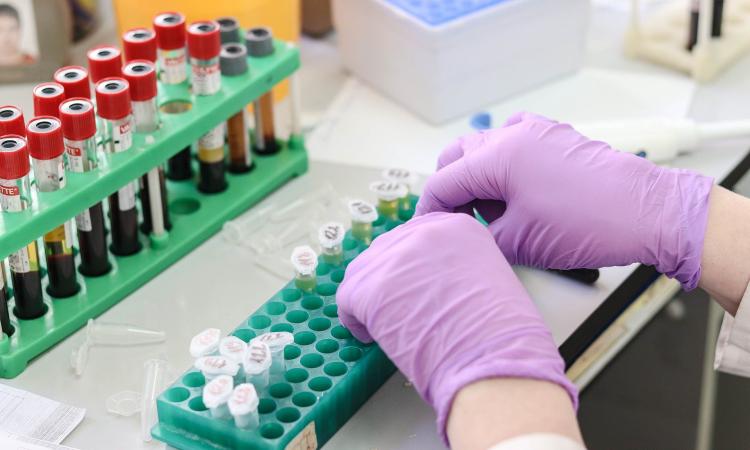 Coronavirus, 23 nuovi casi nelle Marche: 5 sono in provincia di Macerata
