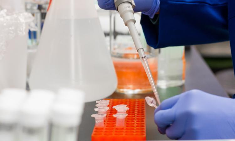 Coronavirus, 2 casi positivi a Colmurano. Il sindaco: "Sono in discrete condizioni di salute" Coronavirus, 2 casi positivi a Colmurano. Il sindaco: "Sono in discrete condizioni di salute"