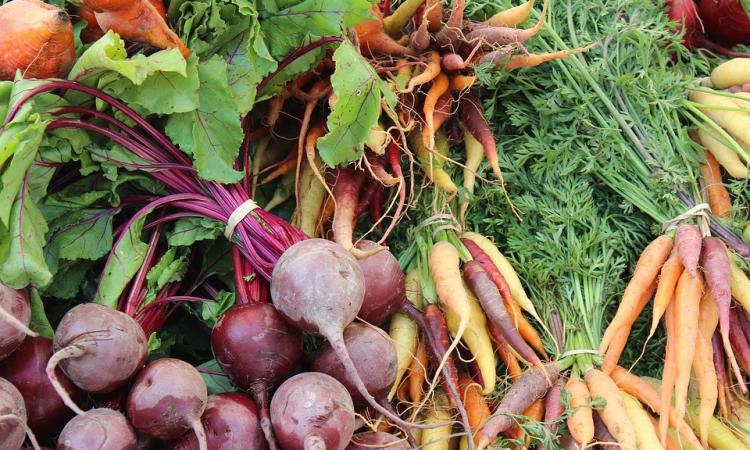 Mangia Marchigiano: Unimc, Univpm e Consorzio Clara unite per consegnare a domicilio i prodotti locali