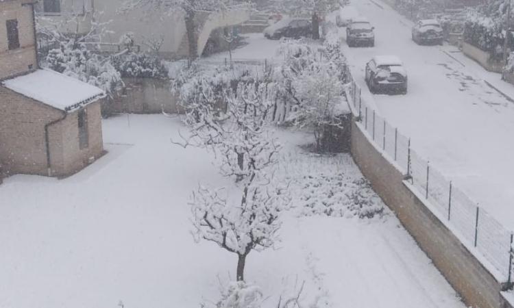 Neve a fine marzo: la provincia di Macerata si sveglia imbiancata