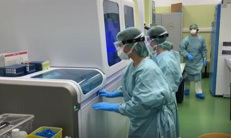 Coronavirus Marche, 77 positivi su 662 tamponi analizzati: continua la decrescita della curva dei contagi Coronavirus Marche, 77 positivi su 662 tamponi analizzati: continua la decrescita della curva dei contagi